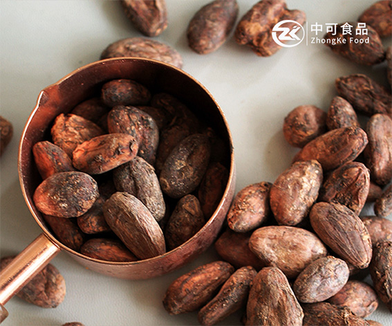 丹陽市中可食品有限公司可可粉產(chǎn)品阿拉伯語外貿(mào)網(wǎng)站建設制作案例